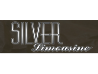 Silver Limousine